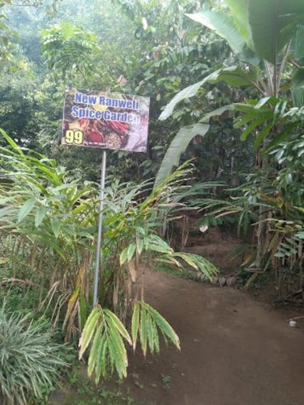 New Ranweli Spice Garden-3